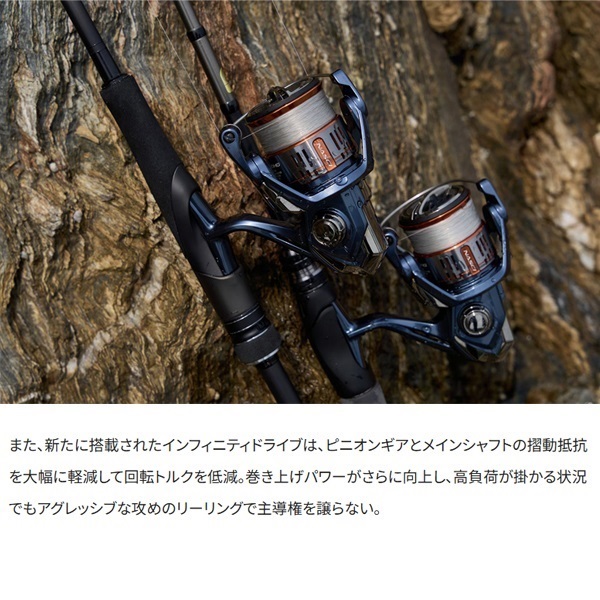 26 ナスキー